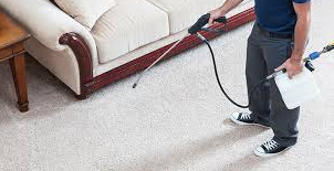 What are the benefits of using a carpet protector?